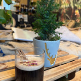 Annas Aprikosen-Kaffee Punsch mit El Flamingo Bio Kaffee