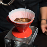 Annas Tipps zur Hario V60 japanische Handbrühmethode als Download
