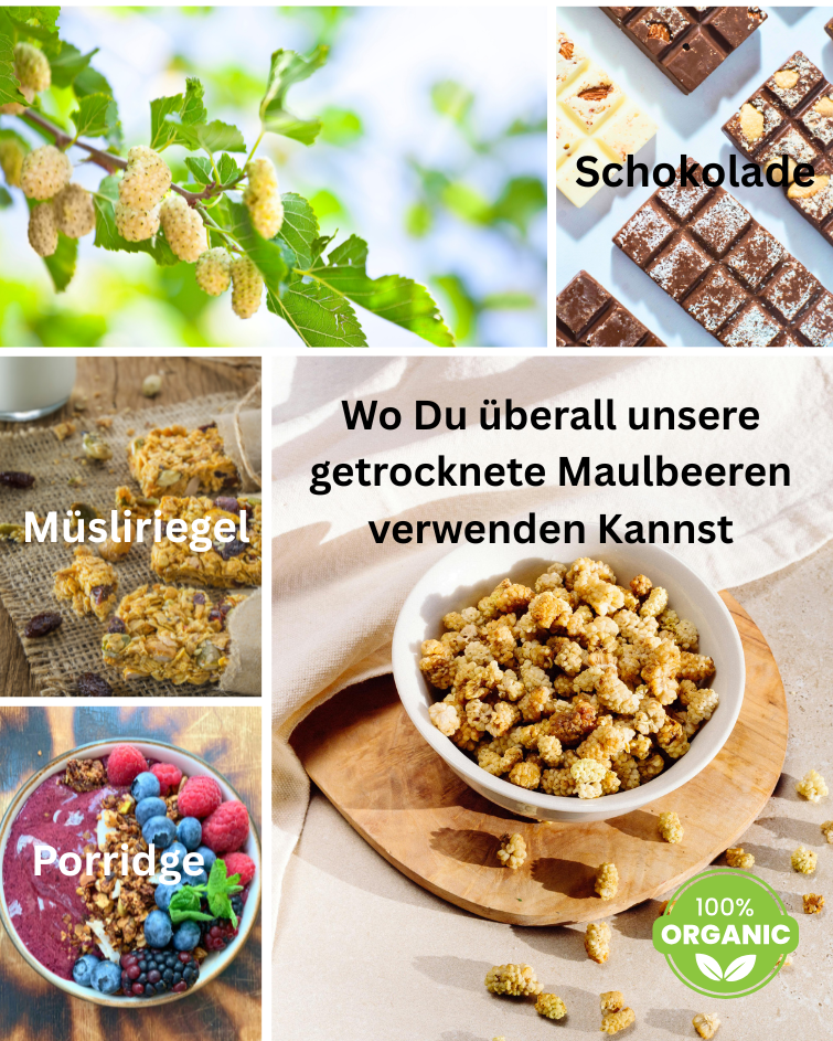 Maulbeeren getrocknet + Annas Riegel Rezept - Naturbelassener Genuss
