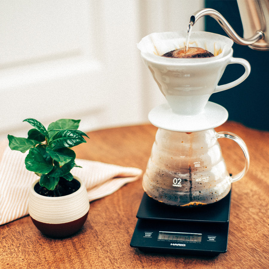 Japanische Kaffeekanne - Teekanne aus Glas mit Mengenmarkierung - Hitzebeständig