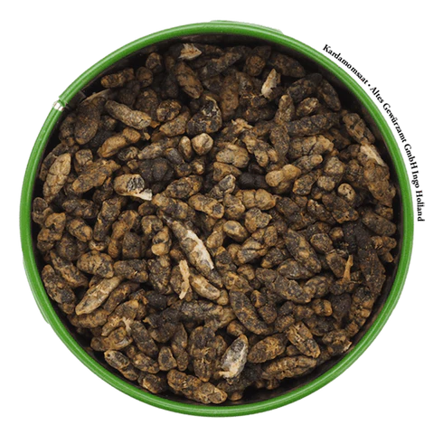 Altes Gewürzamt Kardamomsaat – 45 g