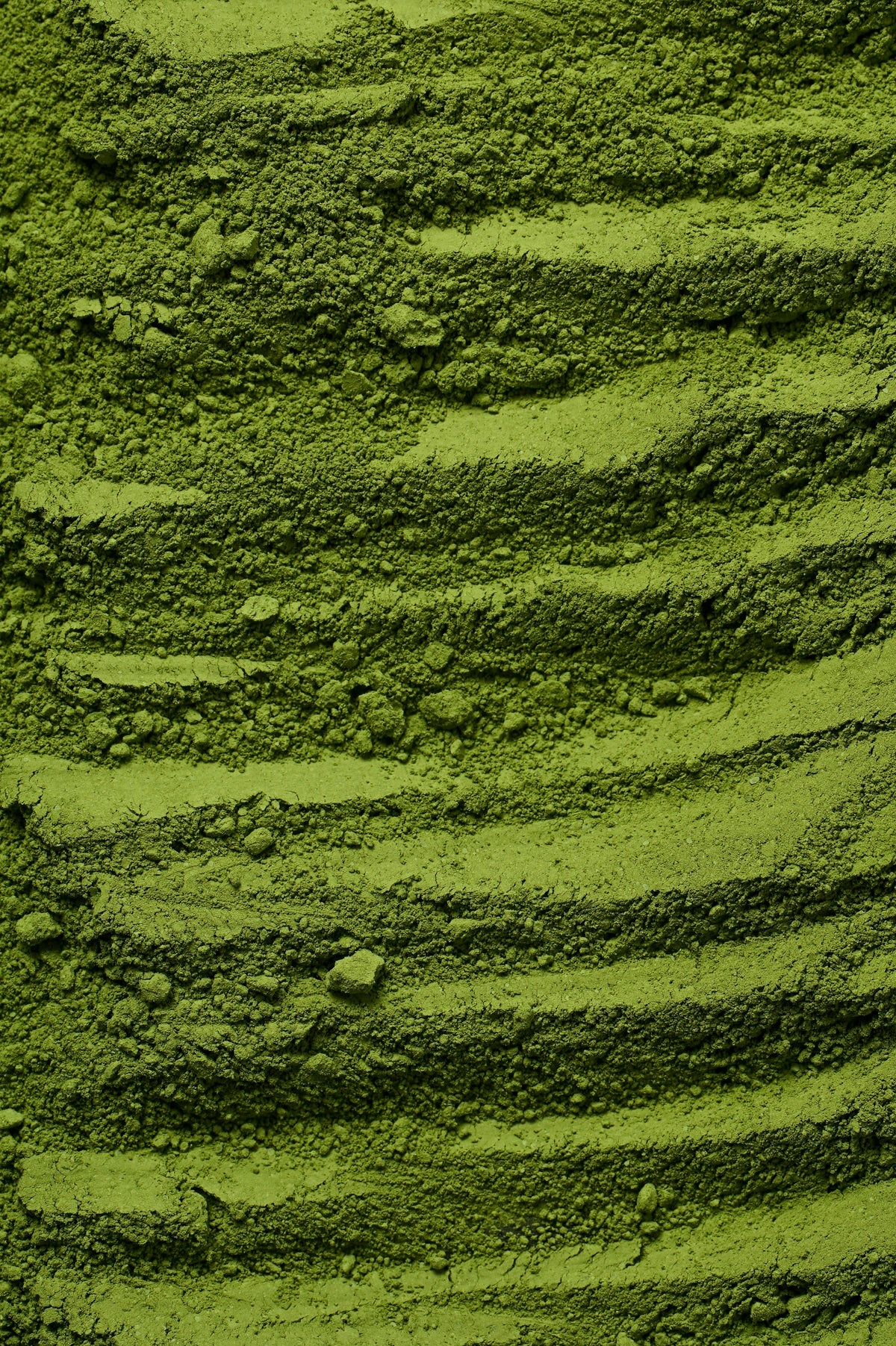buXtrade Bio Matcha Tee – Premium-Qualität – 100g